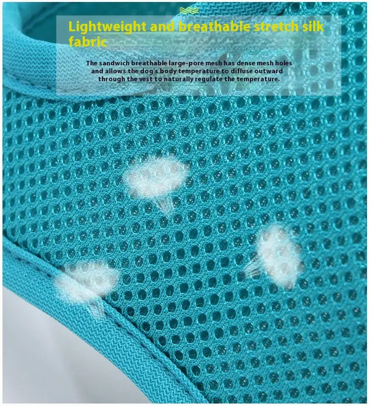 Macska kitörő biztonsági gallér hálószalaggal és kézi kötéllel több színben