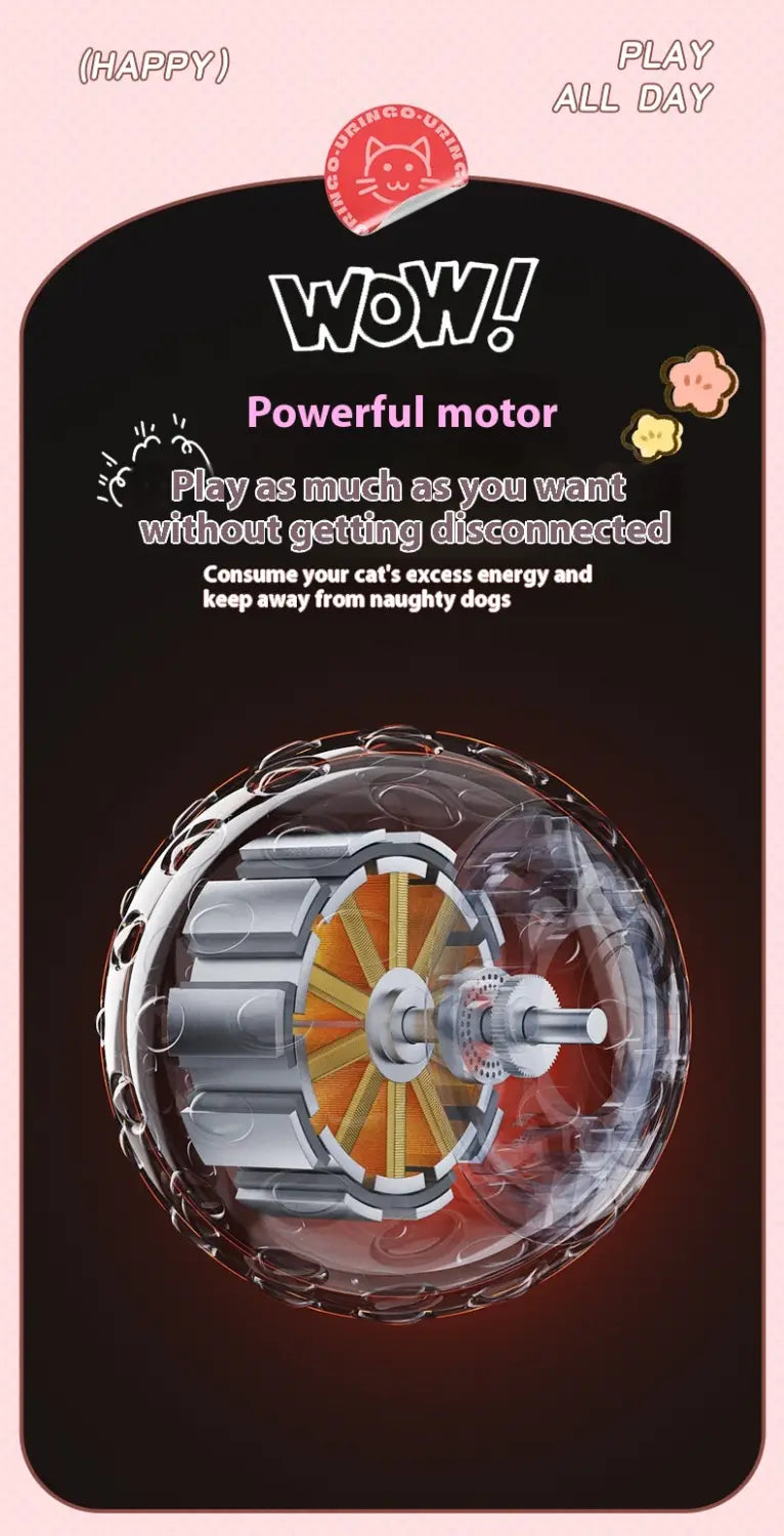 Kassipalliroheline ja oranž interaktiivne veerev kuuli mänguasi lemmikloomadele