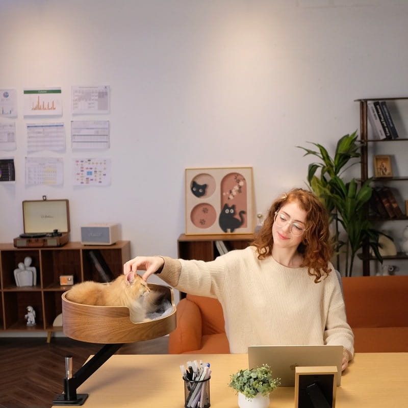 Kiinnike kissan pesä seinälle asennettu sänky puinen ahvenhylly sisäkissoille