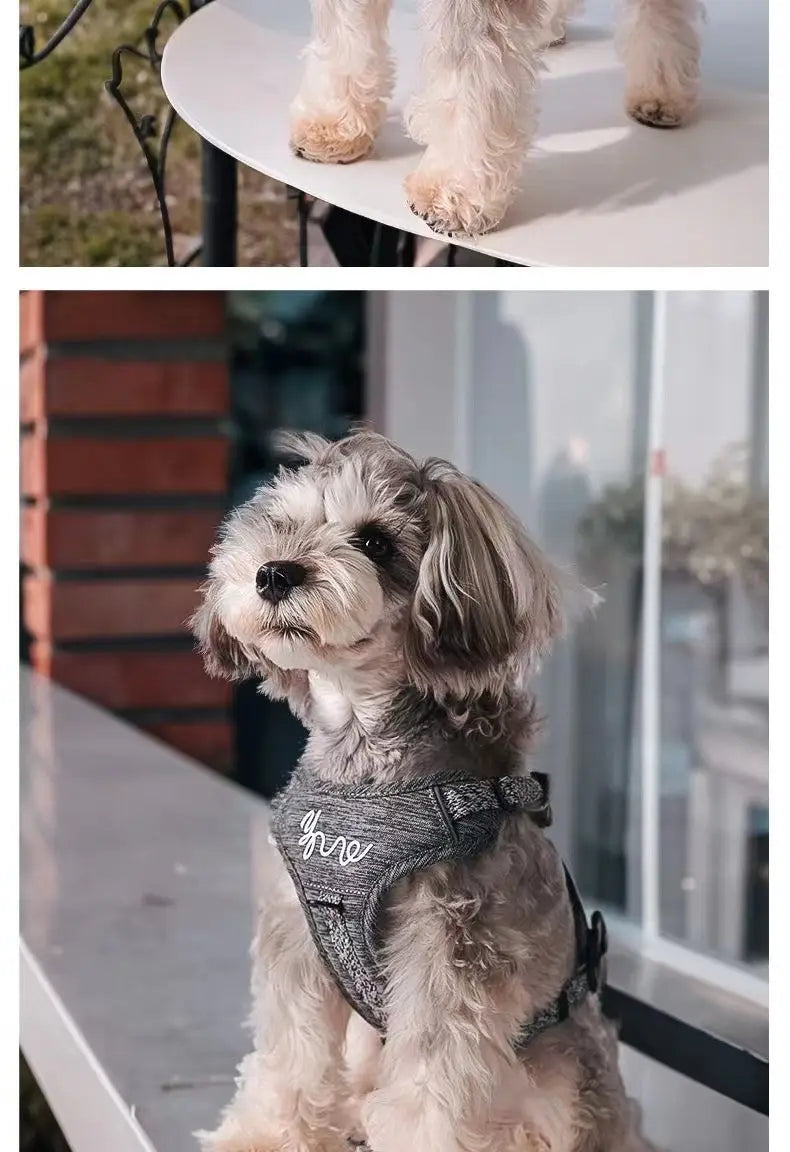 Justerbar polyesterhund Hele vest med bånd for små kjæledyr