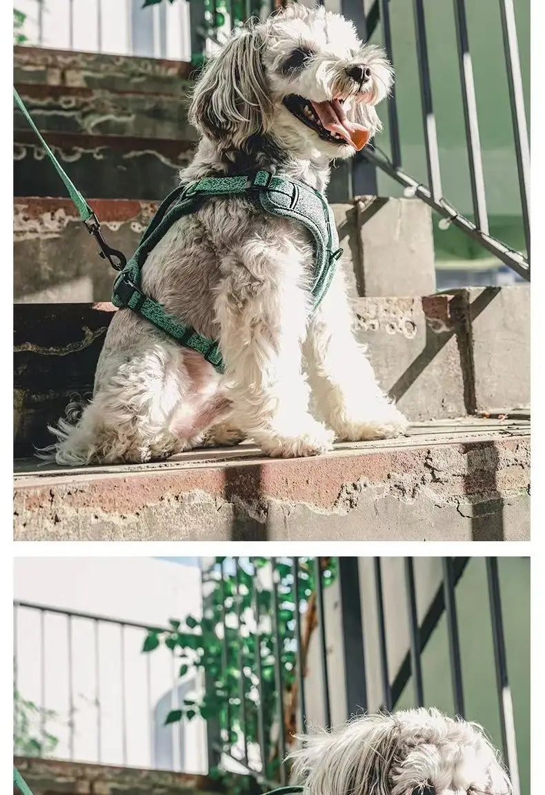 Justerbar polyesterhund Hele vest med bånd for små kjæledyr