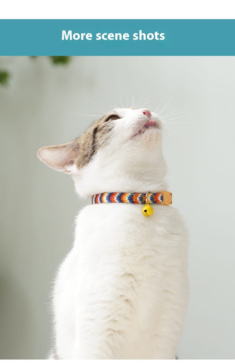 Breakaway kassi kaelarihm tume öö peegel lill neli hooaega reguleeritav ohutus