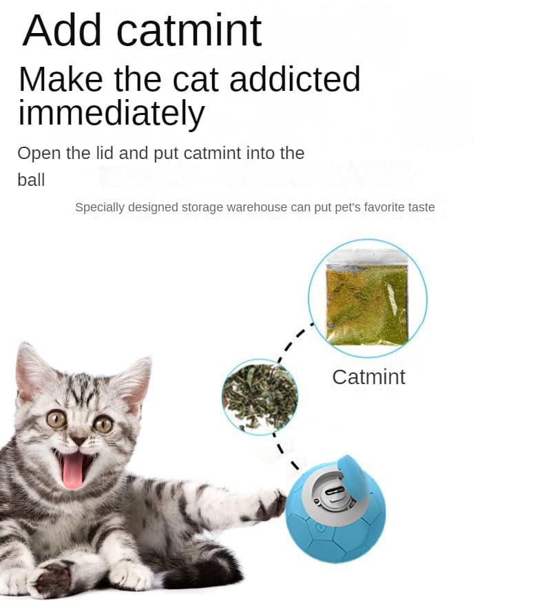 Värviline kummist lemmiklooma mänguasjapall koertele ja kassidele interaktiivne näri