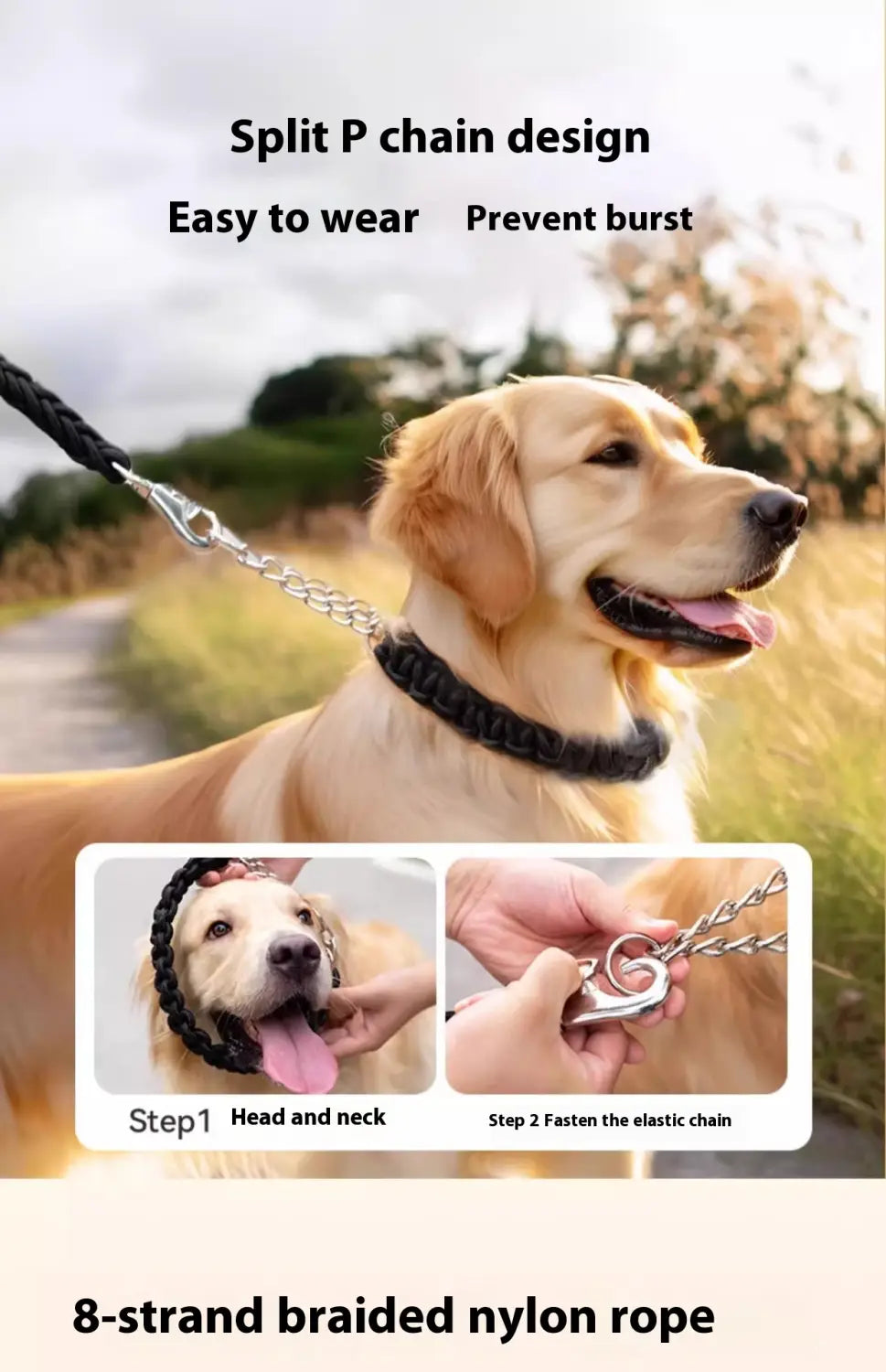 Suite de collier de formation pour animaux de compagnie de base en plusieurs couleurs 1,2 m réglable