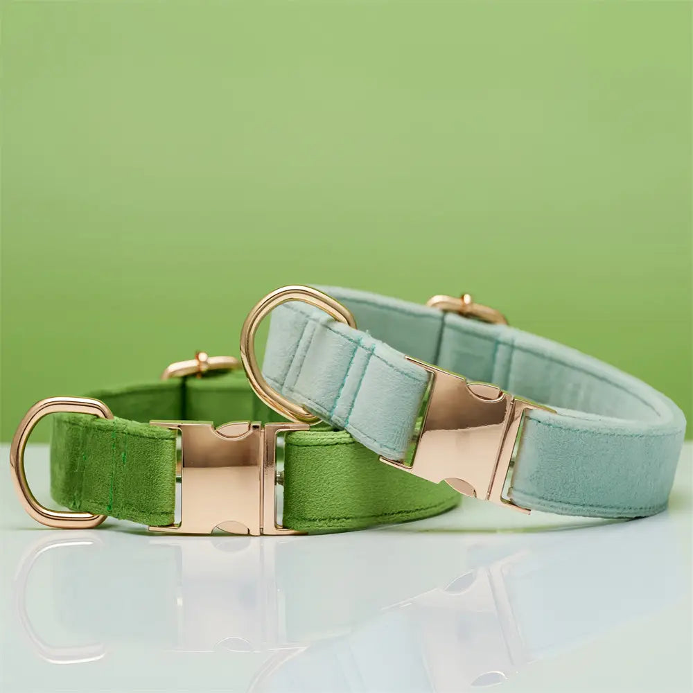 Collier de corde en orange corallien et animal de compagnie réglable vert à eau légère