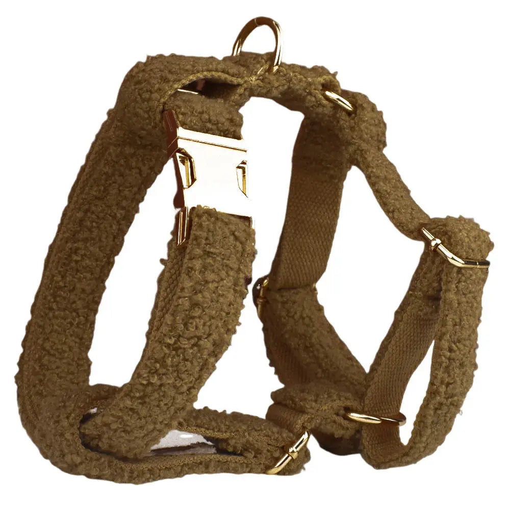 Collar de perro y correa con chaleco de arco de banda circular para mascotas