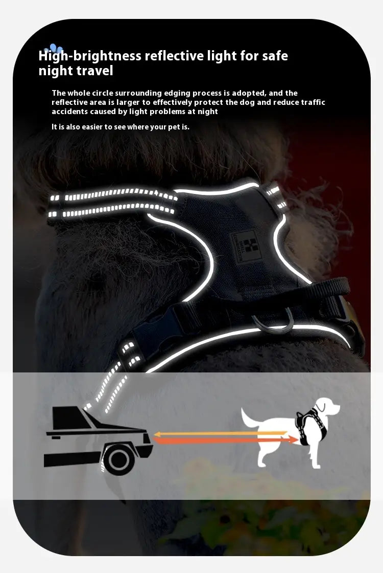 Laisse animale mains libres avec bracelet mammaire réglable pour circonférence thoracique X