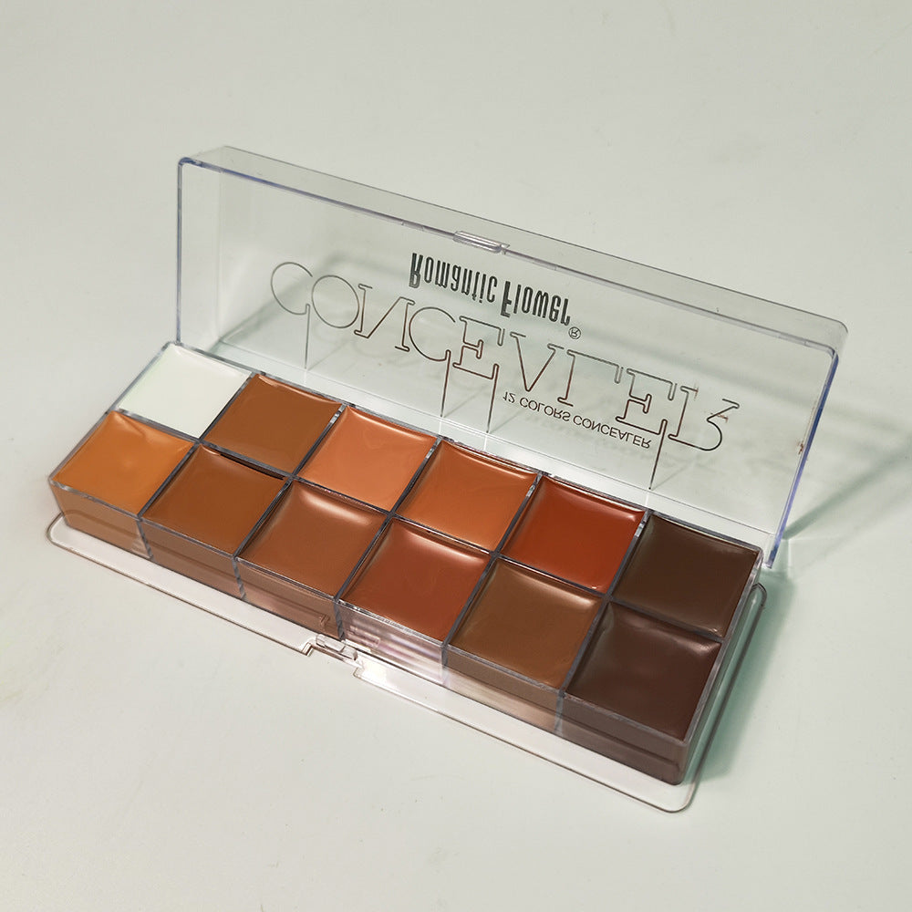 12 Colors Concealer Pen for Dark Skin Waterproof and Neutralizing Imperfections - Teleplus colors concealer dark skin