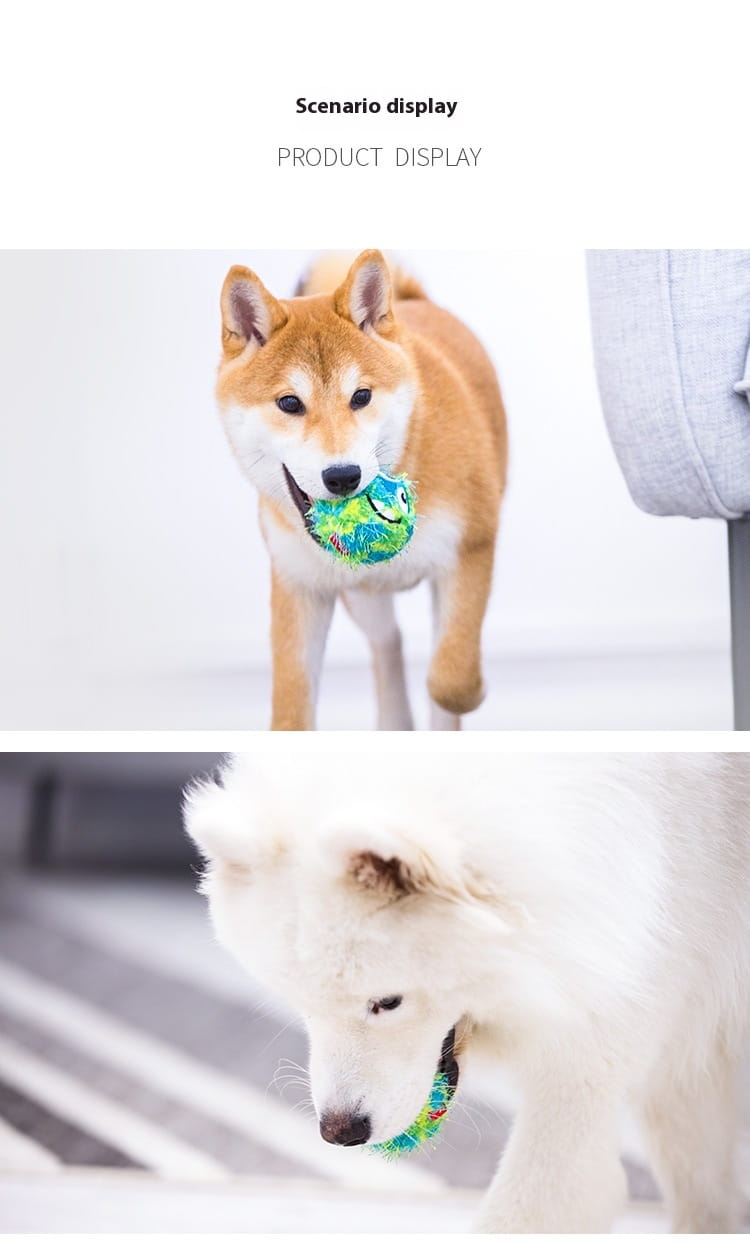 Palla giocattolo per cani per i denti che rimbalzano mastica