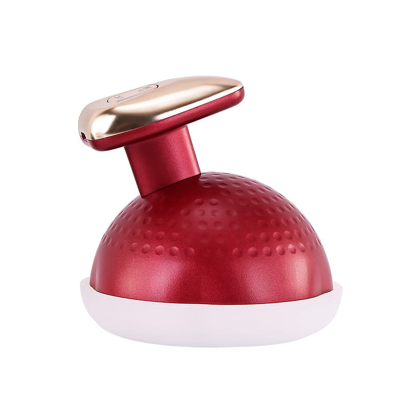 Handheld EMS Micro Current Massage Beauty Instrument