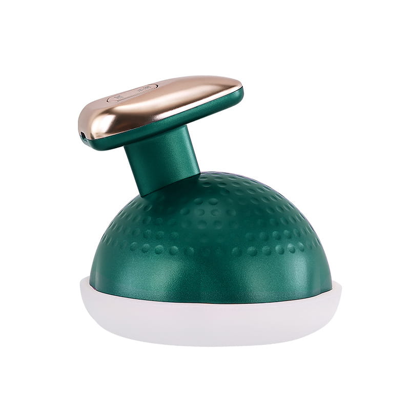 Handheld EMS Micro Current Massage Beauty Instrument