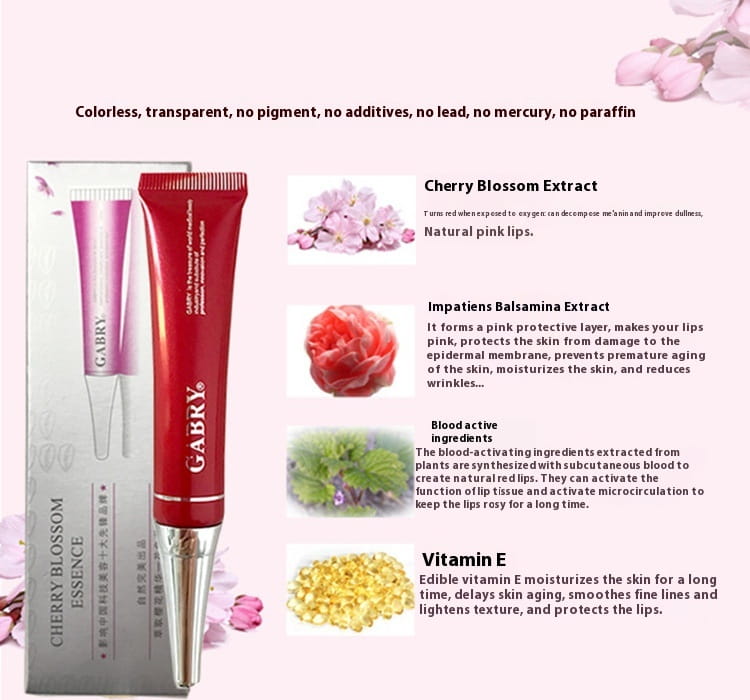 Makeup Beauty Tools Set in Rose Red Pink Orange Blending Sponges