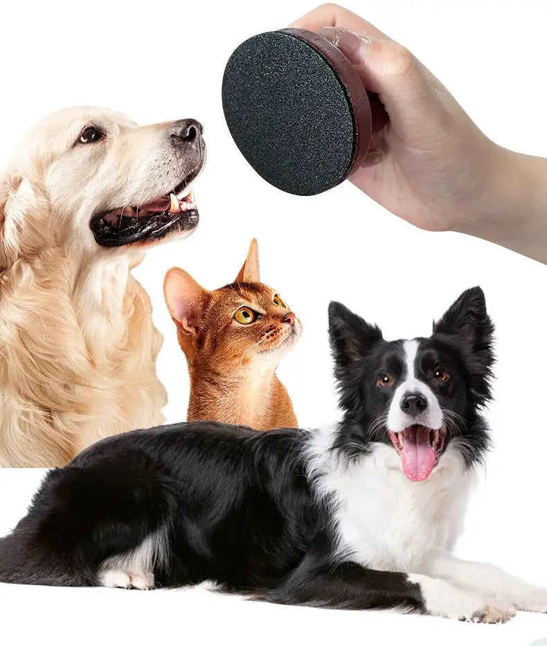 Drewniana deska na deskę dla psów interaktywna zabawka pielęgnacji pazurów dla psów wiele stylów