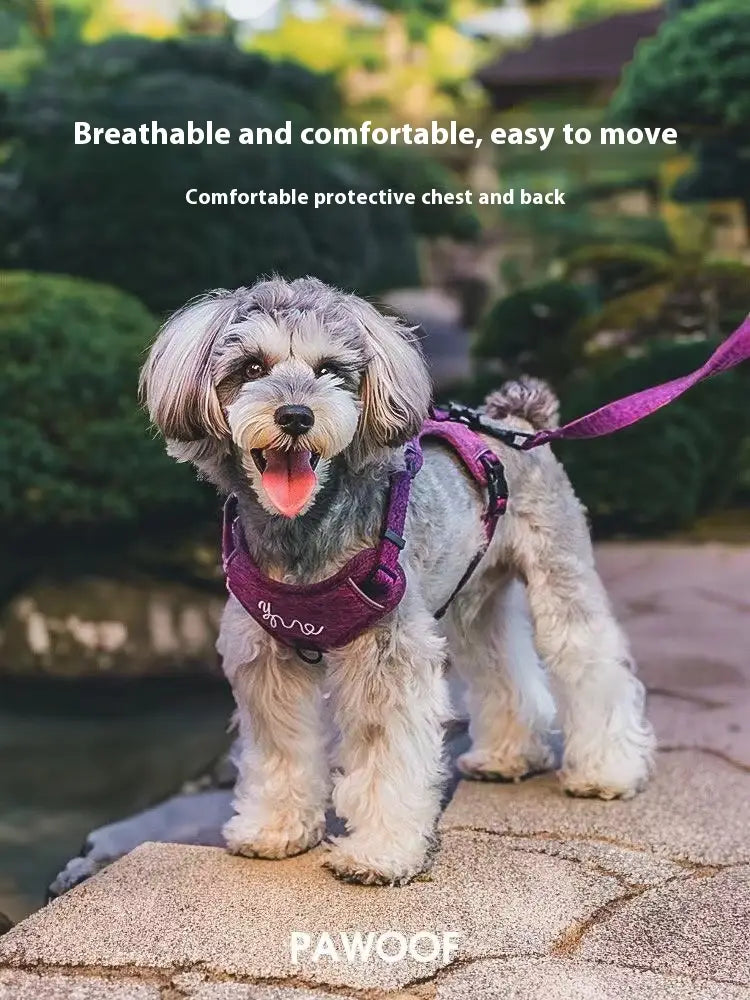 Justerbar polyesterhund Hele vest med bånd for små kjæledyr