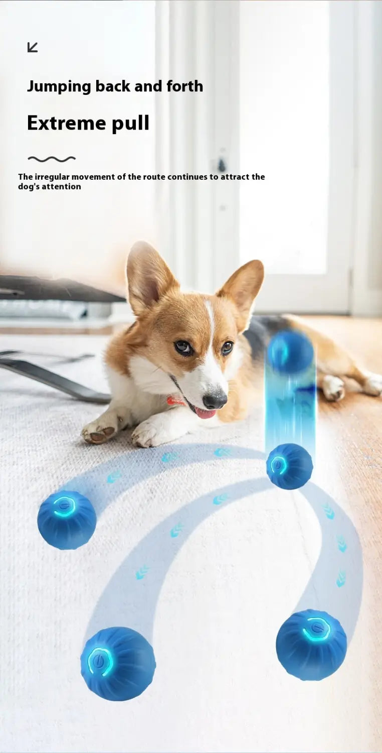 Koerapalli kumer TPR lemmiklooma mänguasi koos andmekaabliga sinise või oranži koertele