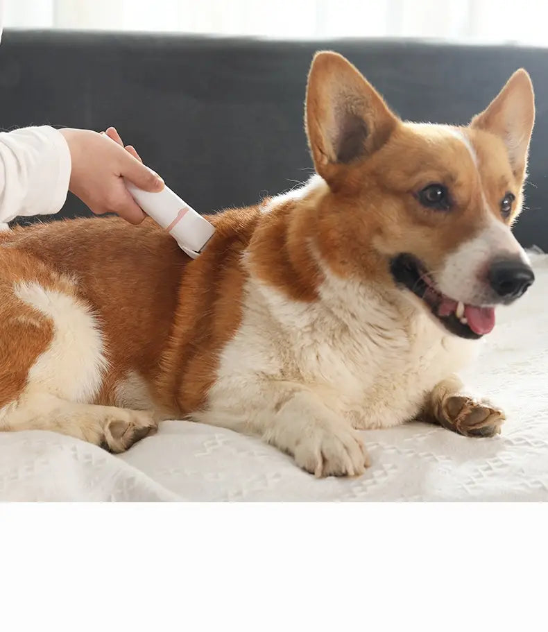 Clippers Gruaige Peataí T66 Culaith 3-I-1 le haghaidh Grooming Cos Áitiúil agus Baile Átha Troim