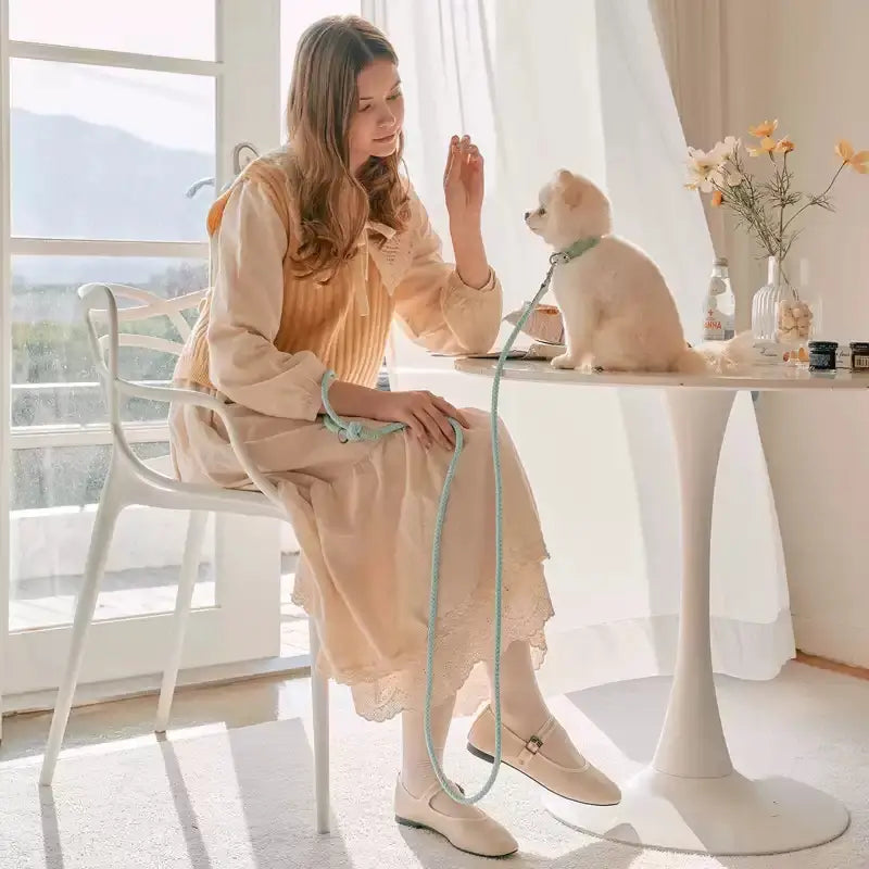 Double animal laisse main tenant corde anti-morsure en cuir de chien