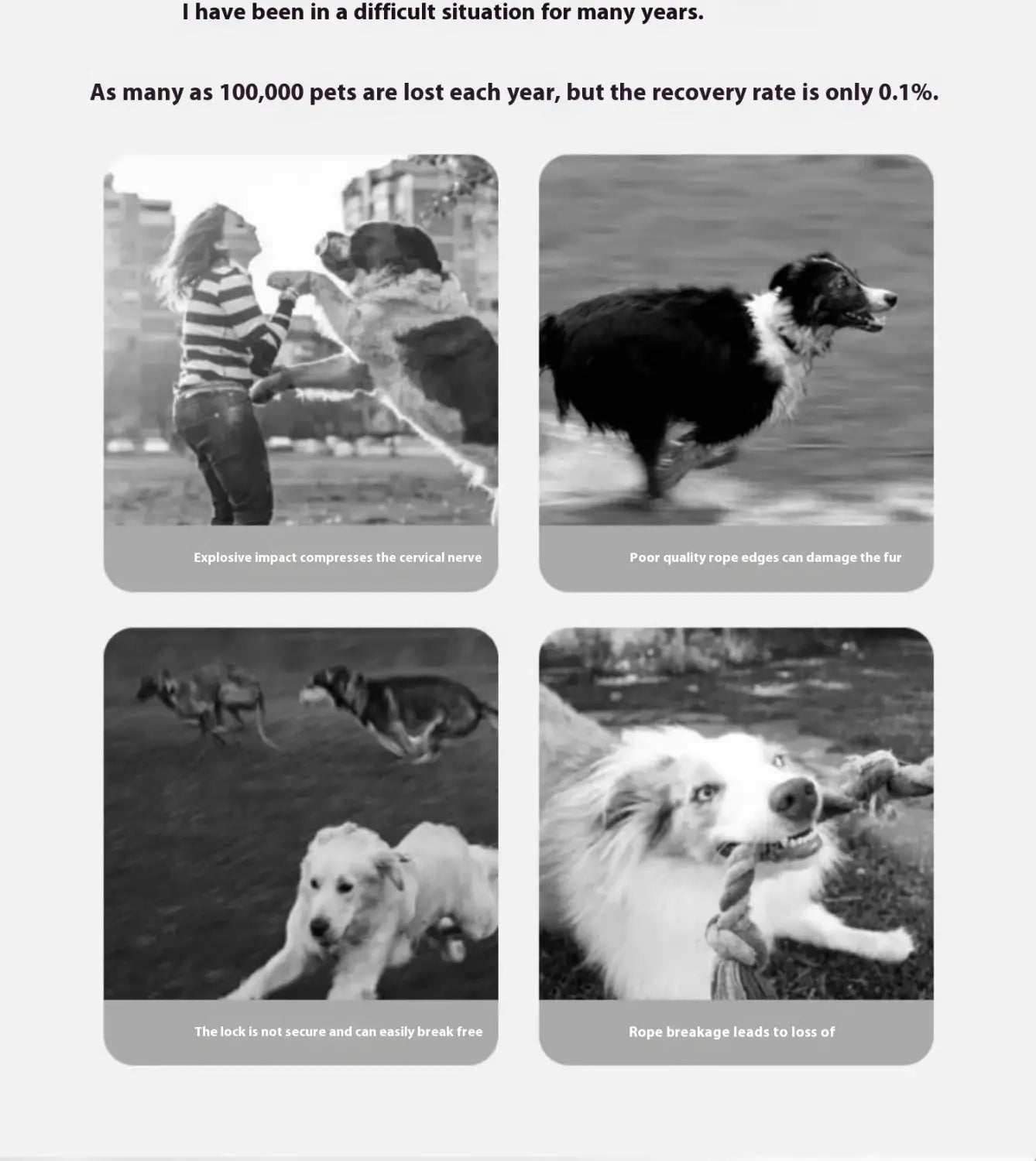 Suite de collier de formation pour animaux de compagnie de base en plusieurs couleurs 1,2 m réglable