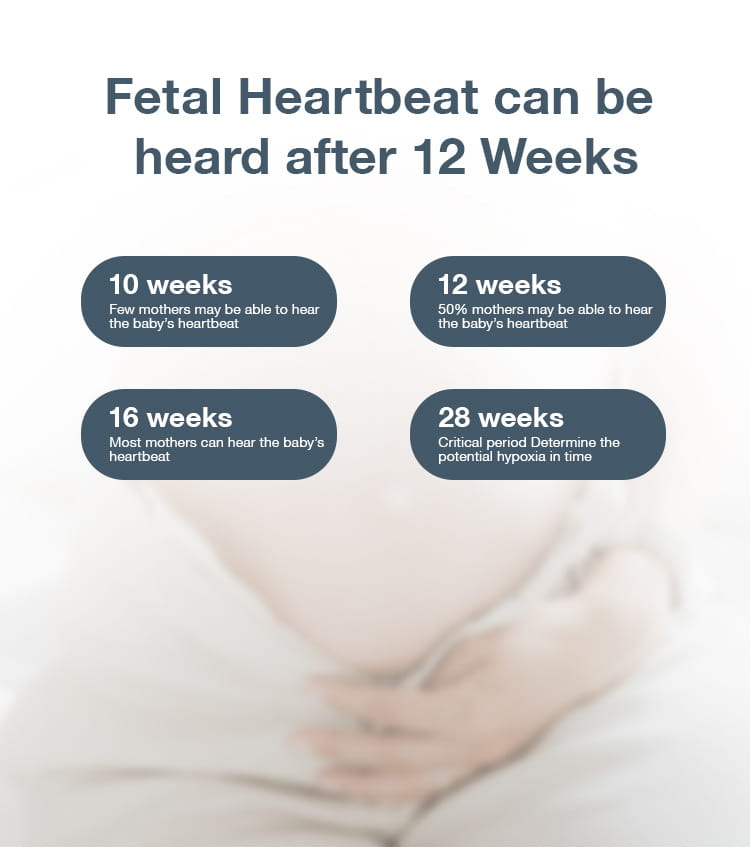 Power Dry Battery for Fetal Heart Monitors in the United States