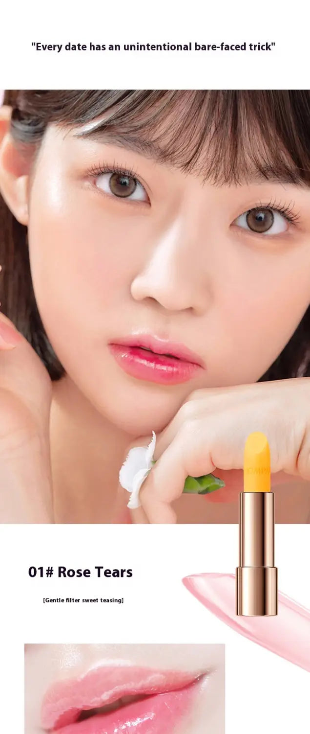 Oily Lipstick Bag with Discoloration Resistance and Soft Mist Matte Finish