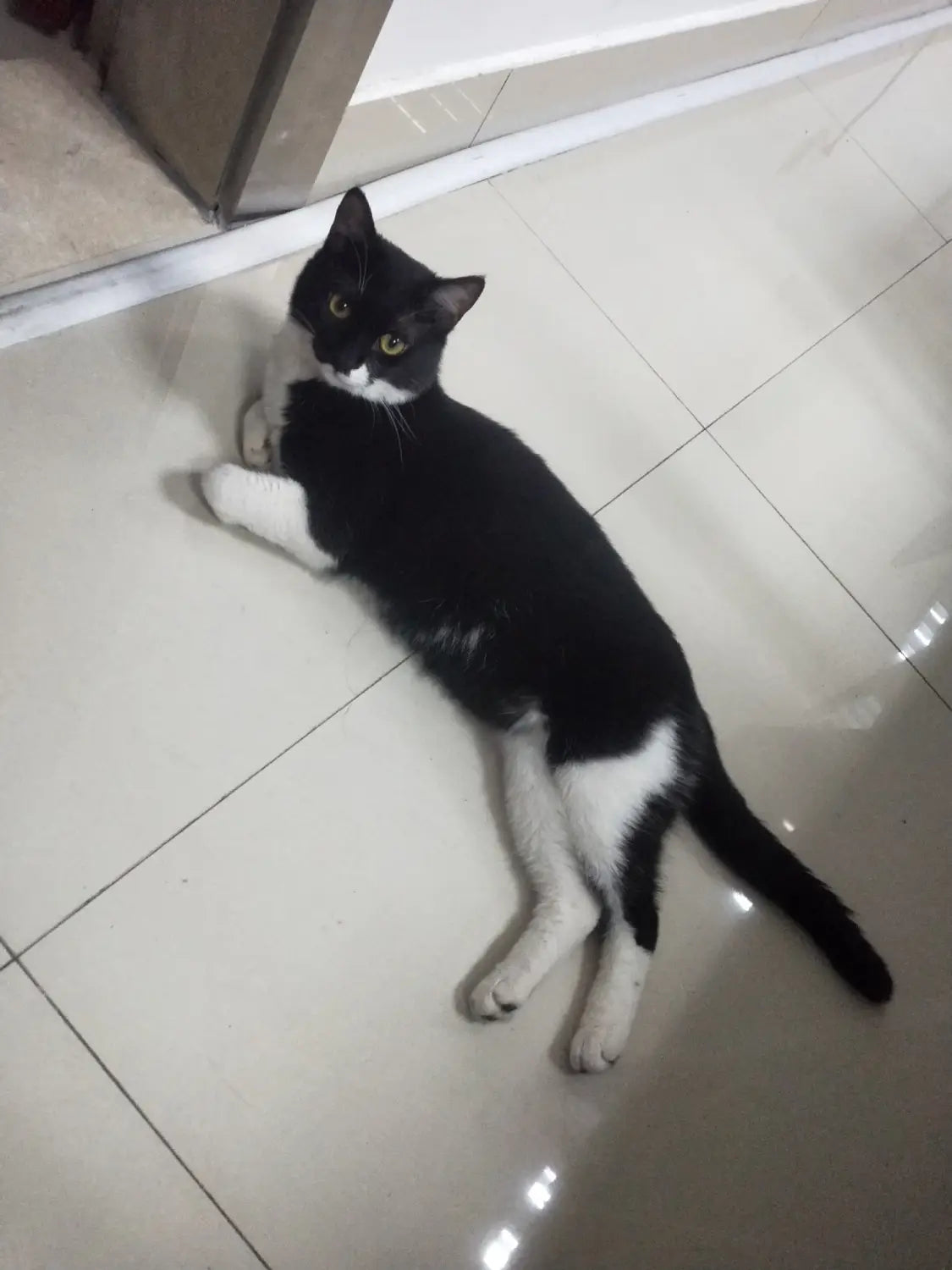 Yellow and Pink Bathing Table for United States CHF Patients