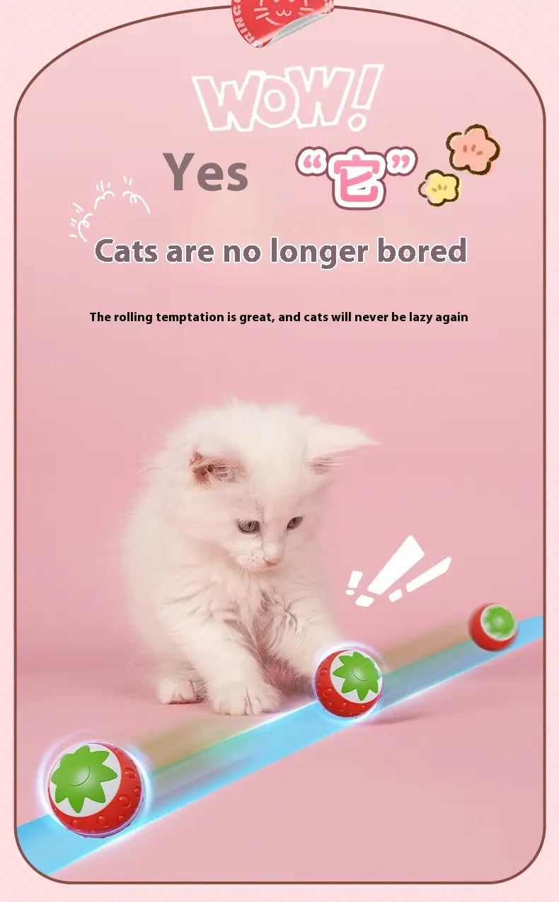 Kassipalliroheline ja oranž interaktiivne veerev kuuli mänguasi lemmikloomadele