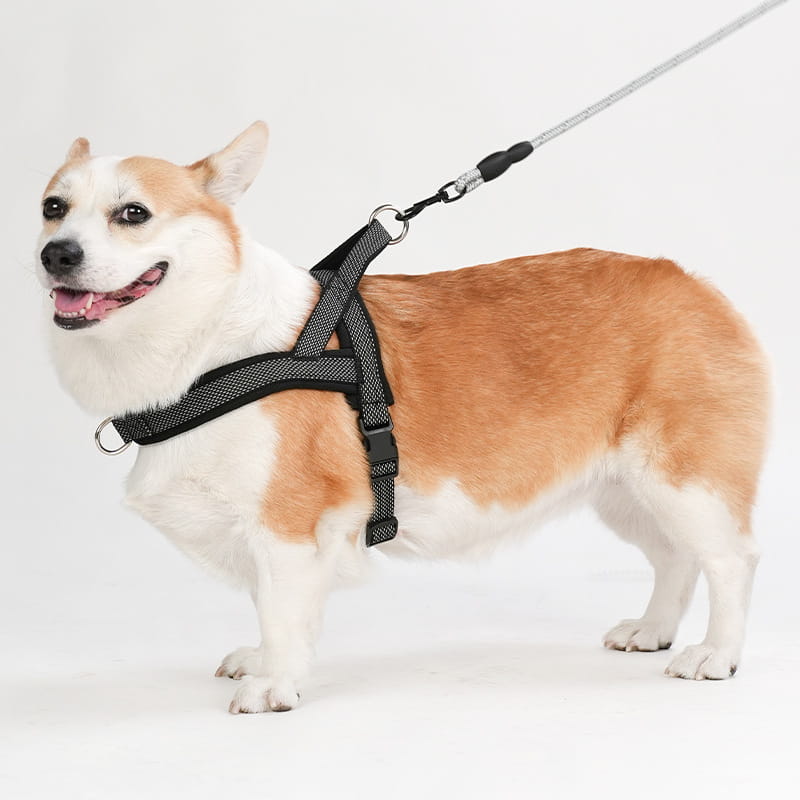 Regulowany pasek na klatkę piersiową do zwierząt domowych poliester z pierścieniem łańcuchowym