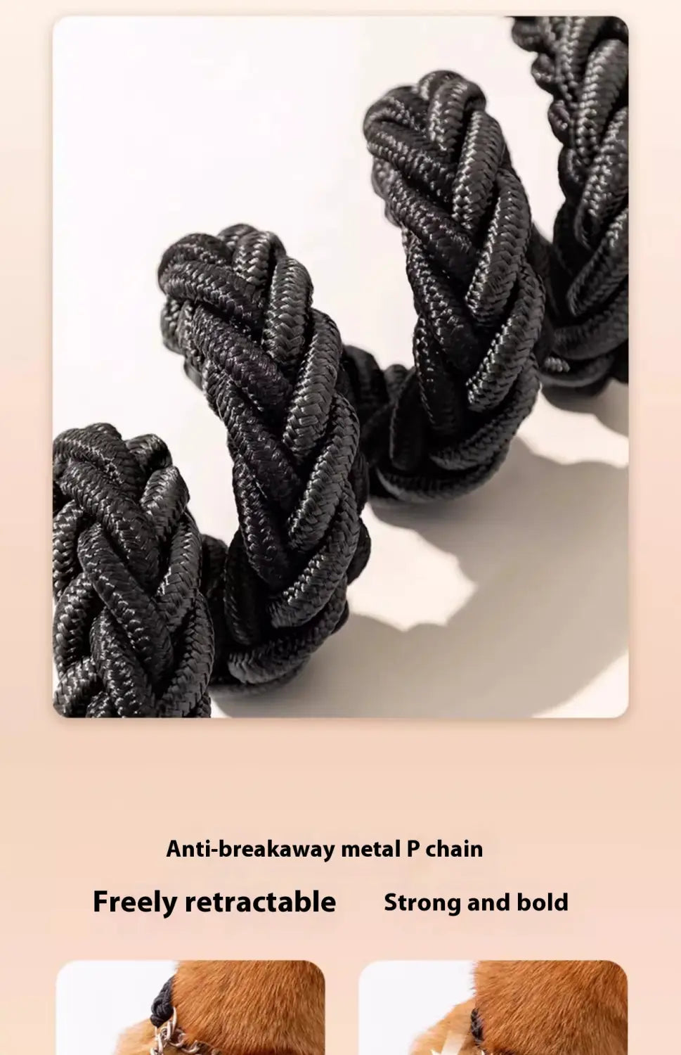 Suite de collier de formation pour animaux de compagnie de base en plusieurs couleurs 1,2 m réglable