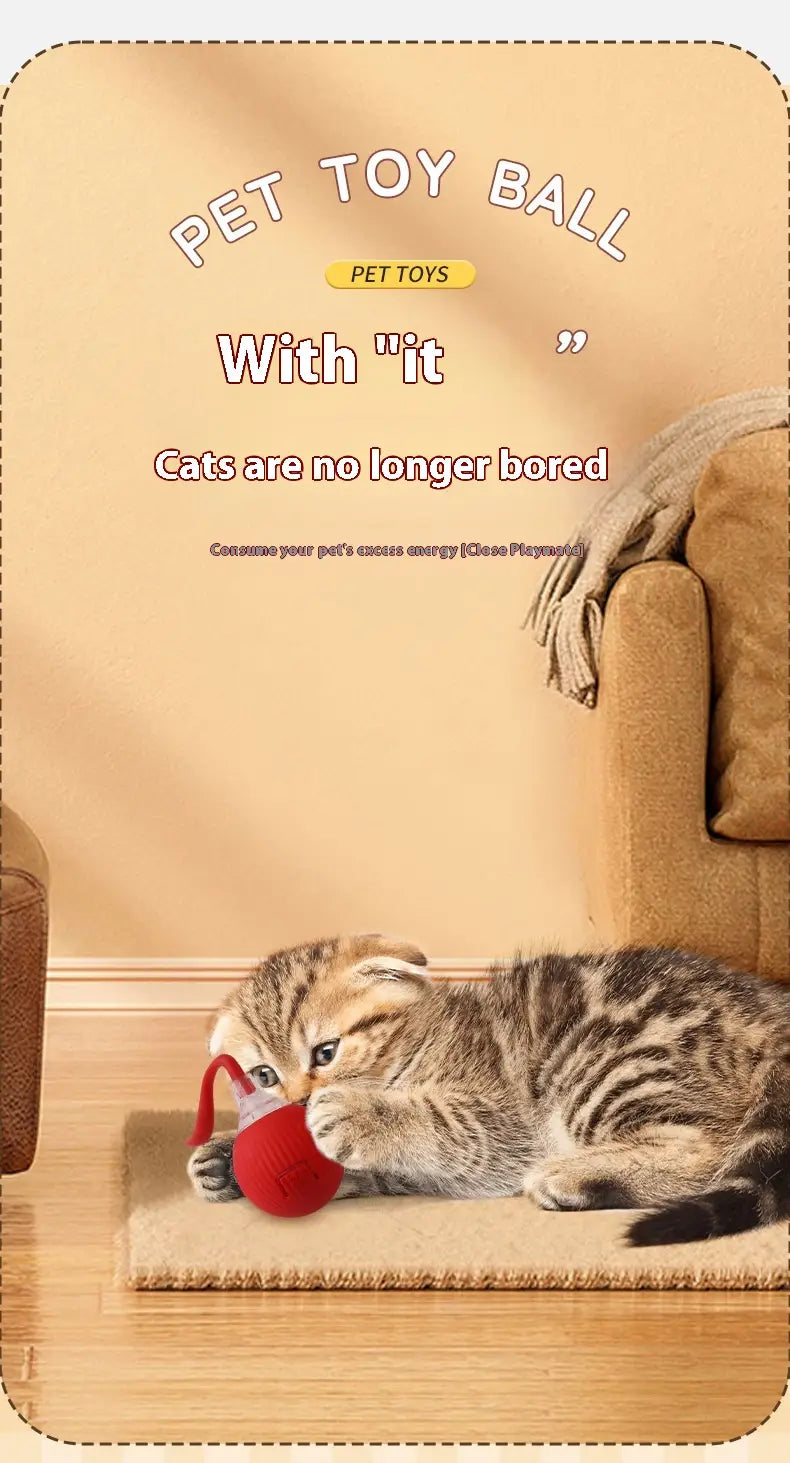 Interaktiivinen kissan kiusallinen pallolelu korkean energian kissojen mattoystävälliselle