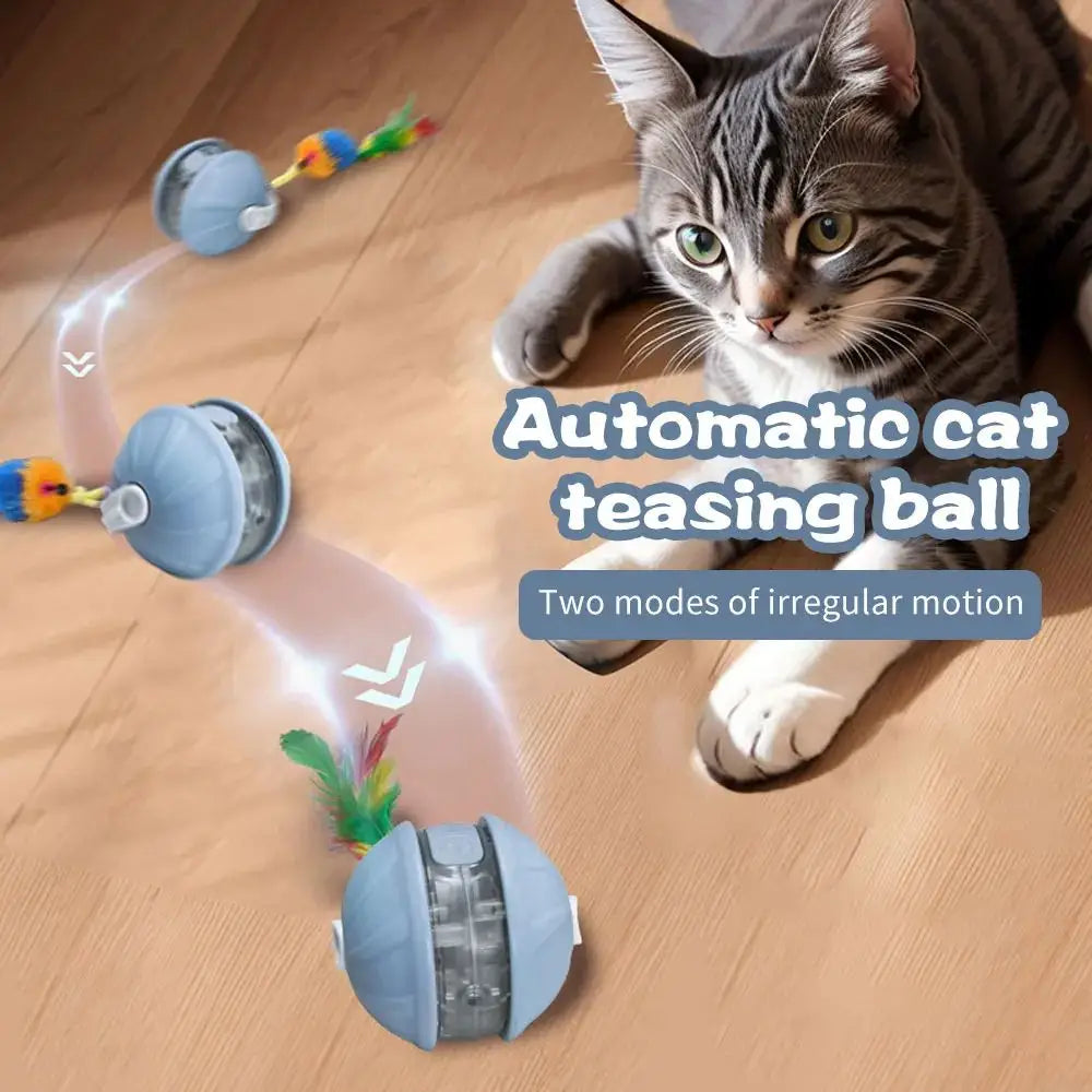 Boule de jouet chat amélioré avec mouvement irrégulier et plusieurs modes de travail