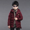 Boy's hooded padded padded jacket - Red wine