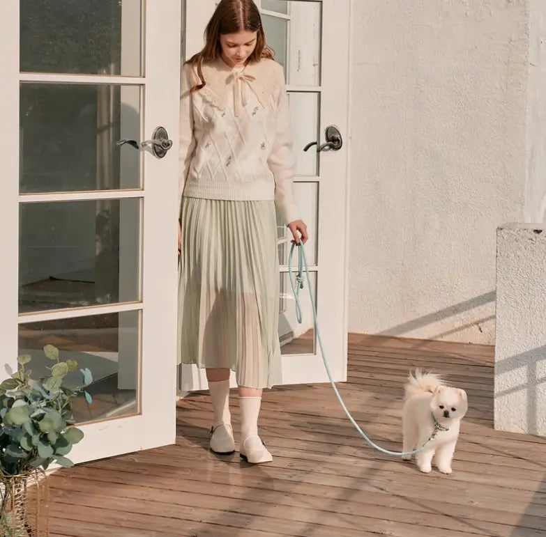 Double animal laisse main tenant corde anti-morsure en cuir de chien