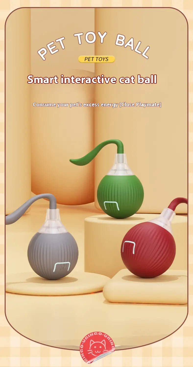 Interaktiivinen kissan kiusallinen pallolelu korkean energian kissojen mattoystävälliselle