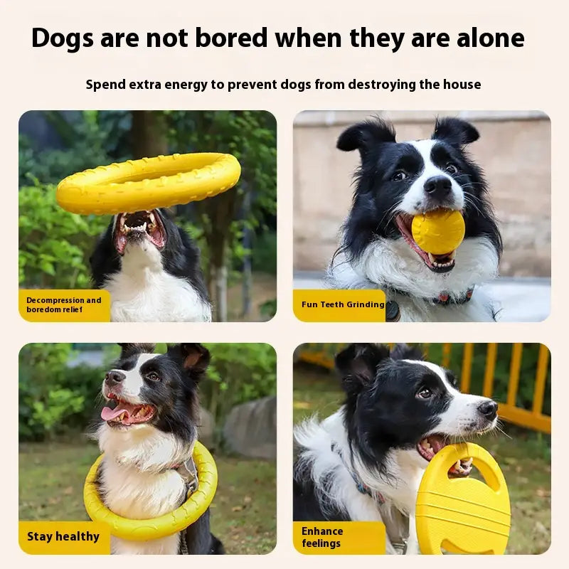 Koiran pureskelu köysirengas Solid Ball Frisbee Interactive Pet -lelusetti