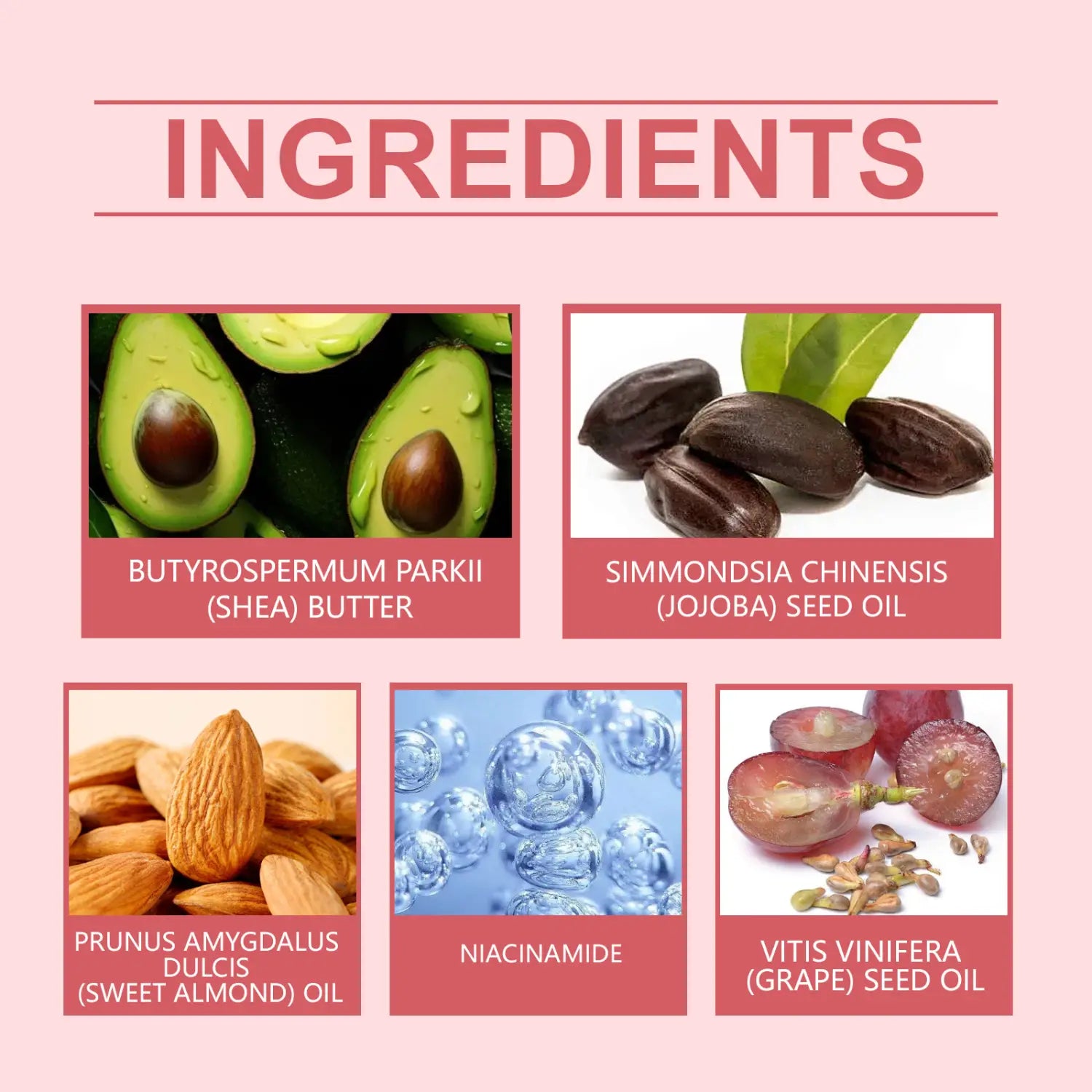 Teleplus Moisturizing Body Lotion for Dry Skin Deep Hydration