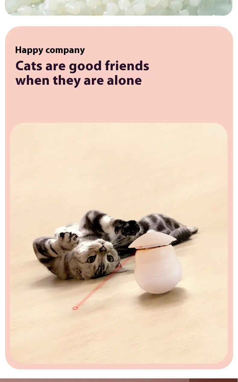 Pink lemmikloomade mänguasjad seavad koertele ja kassidele interaktiivse mängu ABS -plastkasti