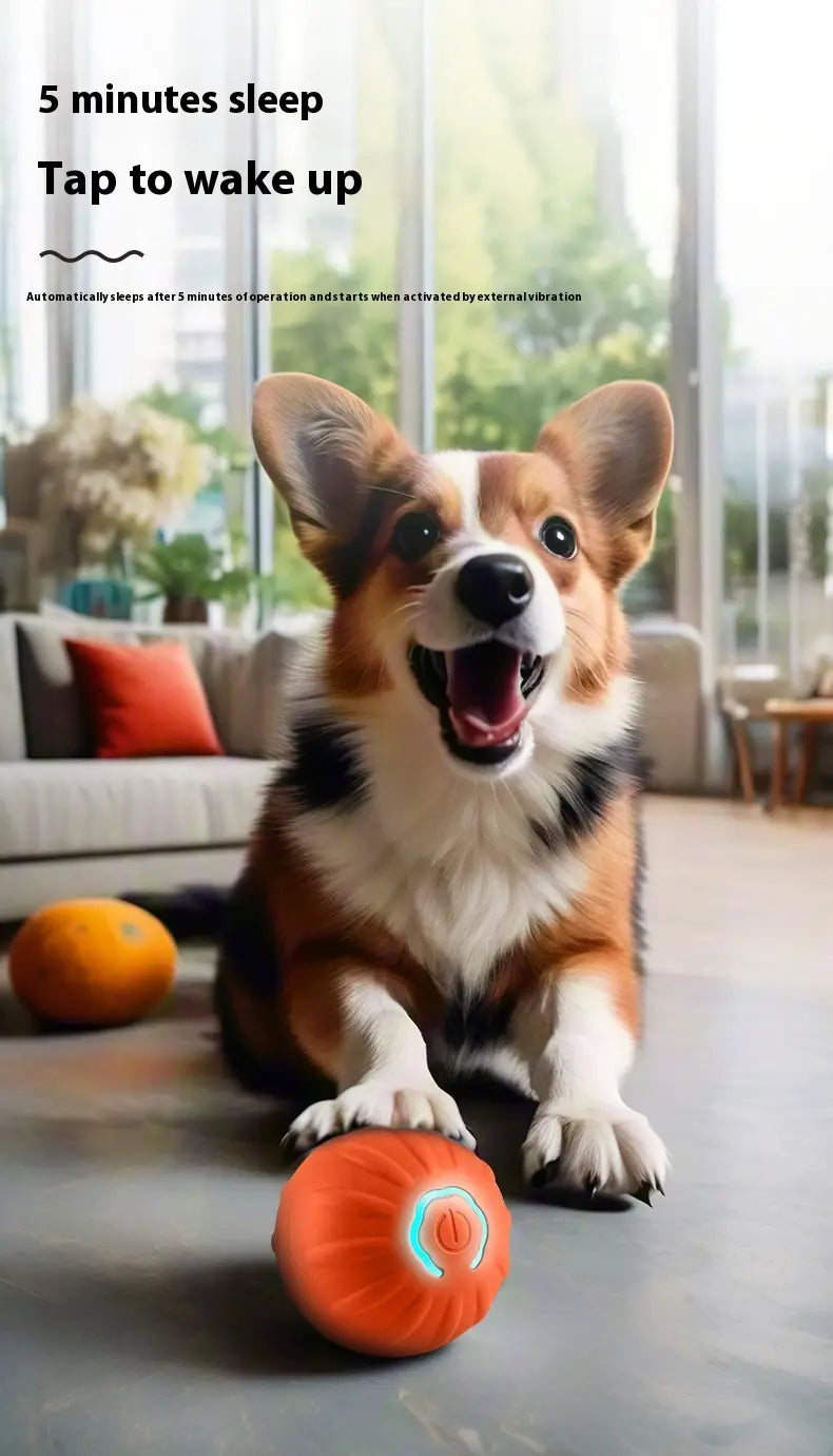 Koerapalli kumer TPR lemmiklooma mänguasi koos andmekaabliga sinise või oranži koertele