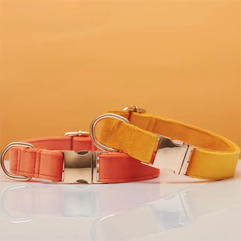 Collier de corde en orange corallien et animal de compagnie réglable vert à eau légère