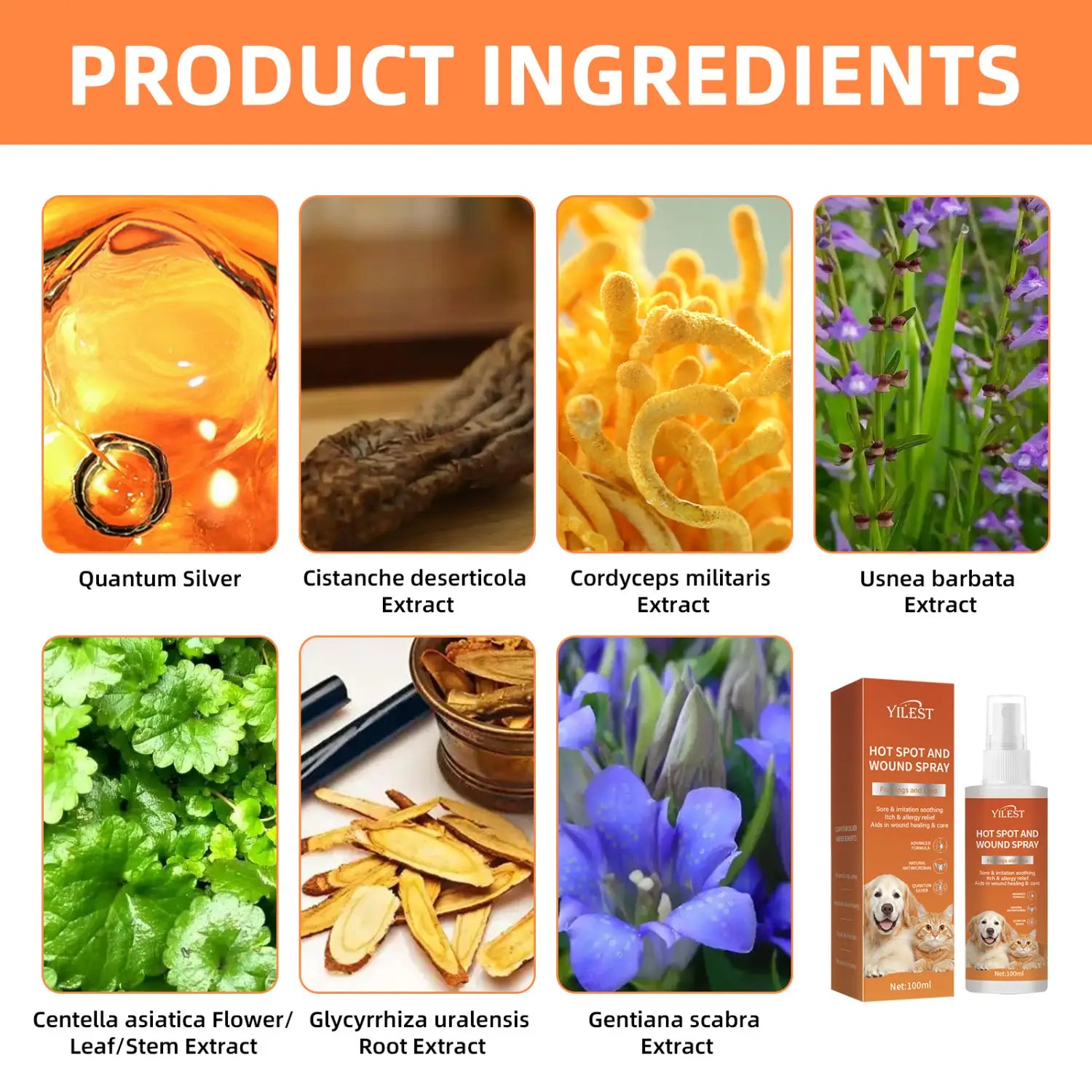 Koirasuihku 100 ml: n lemmikkien immuuni pureman jakkaran indusoija Hot Mark Training Solution