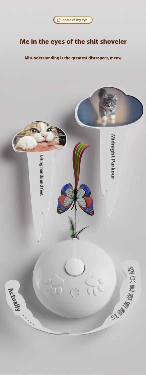 Interaktive Federkatze Spielzeug für Innenkatzen jagen und spiele Übung