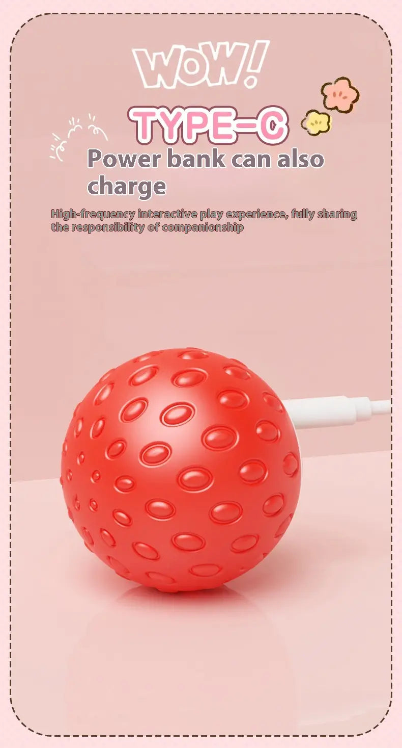 Kassipalliroheline ja oranž interaktiivne veerev kuuli mänguasi lemmikloomadele