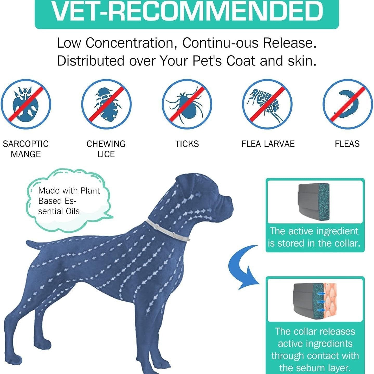 38cm Single Circle Plastic Collar for Cats and Puppies Universal Four Seasons - Teleplus single circle