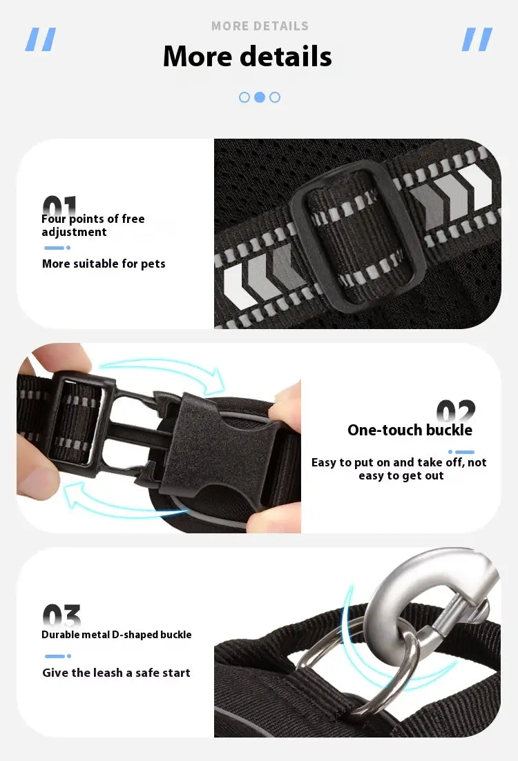 Laisse animale mains libres avec bracelet mammaire réglable pour circonférence thoracique X