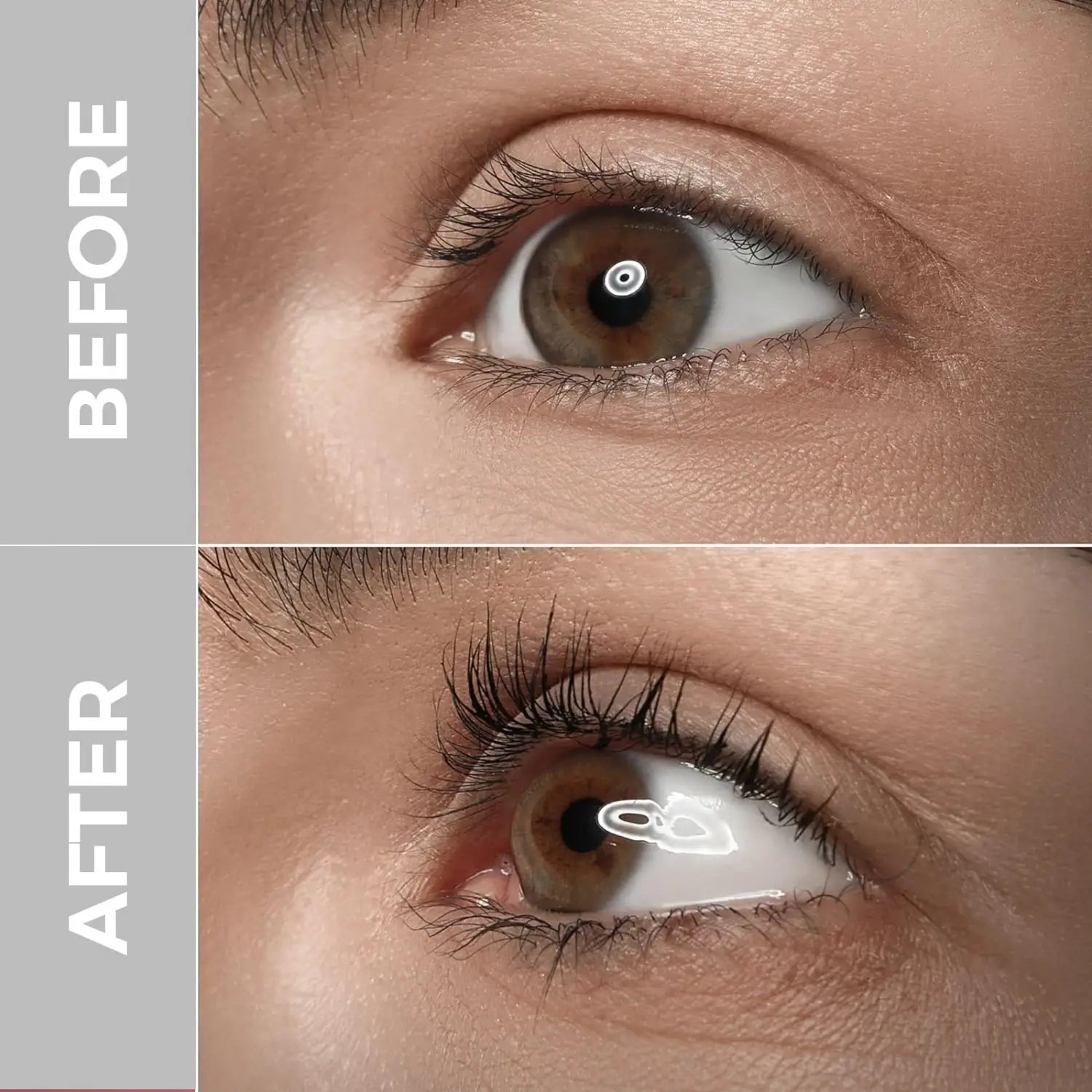 Ezüst szempilla növekedési lényege az ápoláshoz 5ml exportált