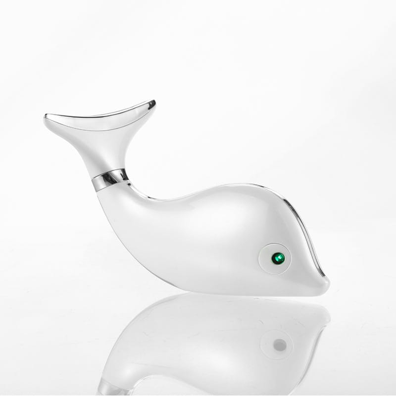 Machine de levage du cou Massager facial domestique Désalinisation