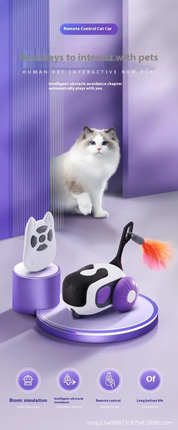 Nutikas naljakas kassi kaugjuhtimispuldi auto mänguasi lastele lilla või sinise plastiga