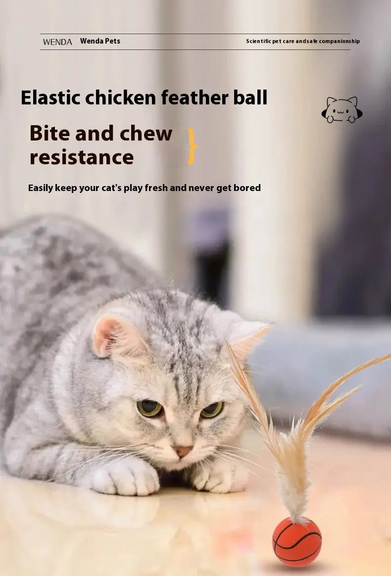 Elastic Chicken Fur Ball Toy Football Basquete Baseball Rosa laranja