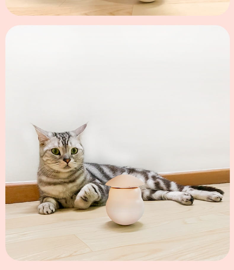 Pink lemmikloomade mänguasjad seavad koertele ja kassidele interaktiivse mängu ABS -plastkasti