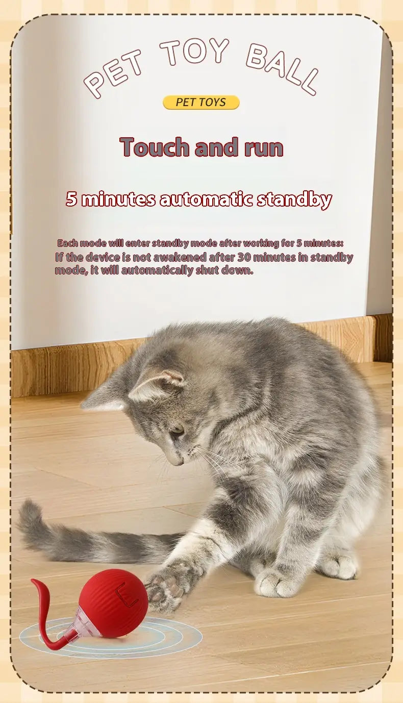 Interaktiivinen kissan kiusallinen pallolelu korkean energian kissojen mattoystävälliselle