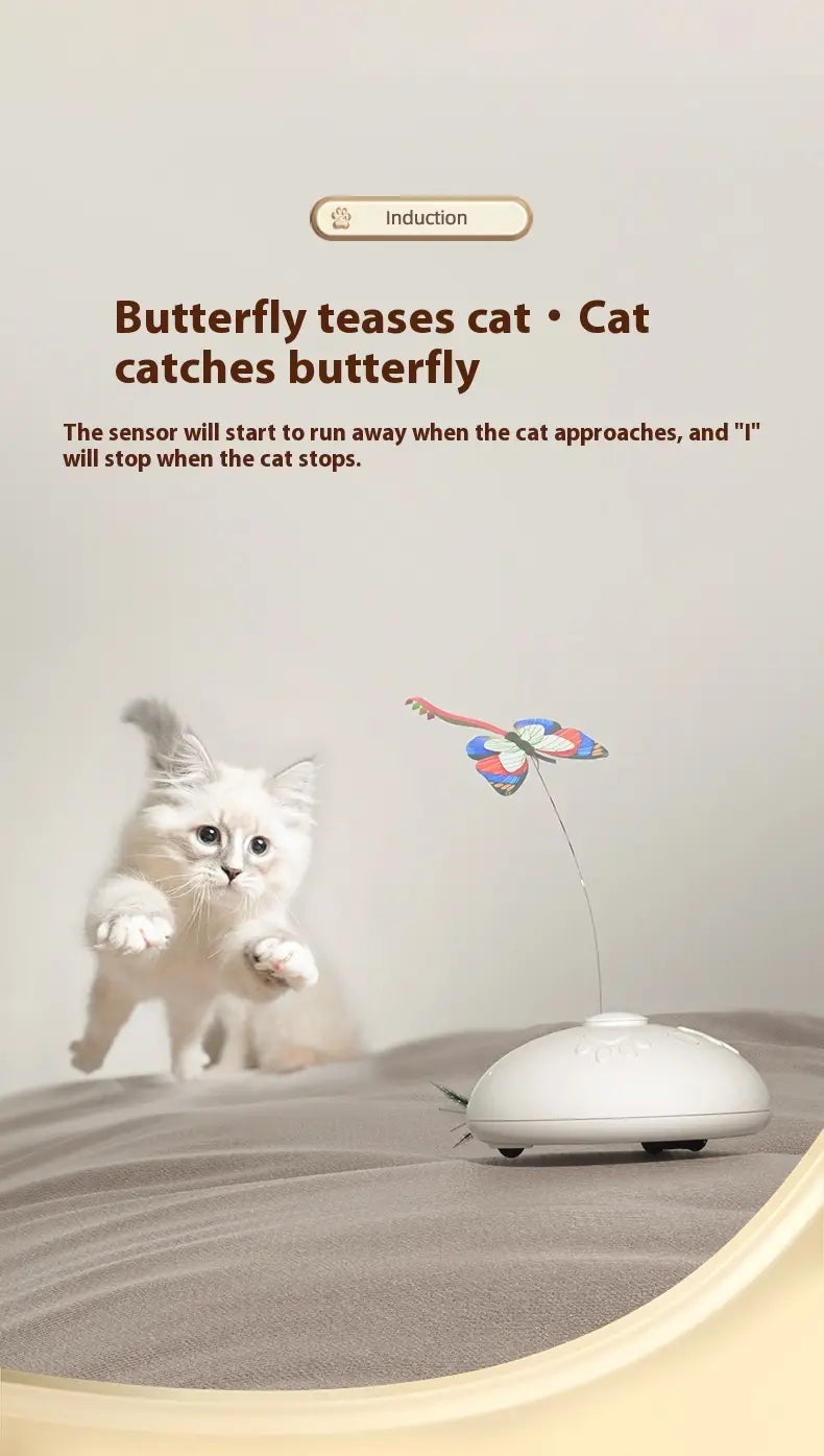 Interaktive Federkatze Spielzeug für Innenkatzen jagen und spiele Übung